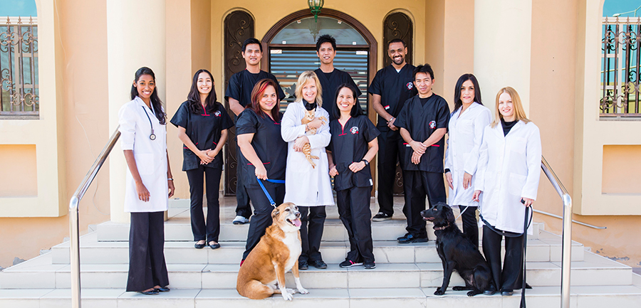 Our Veterinary Health Care Team | Canadian Veterinary Hospital Doha, Qatar