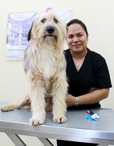 Pet Grooming at Canadian Vet Hospital in Doha