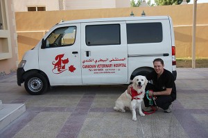 Brinkley at the Canadian Veterinary Hospital getting ready to Relocate to Houston