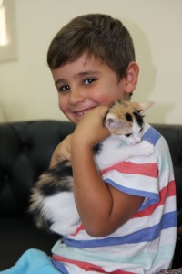 Pet Adoption at Canadian Vet Hospital in Doha