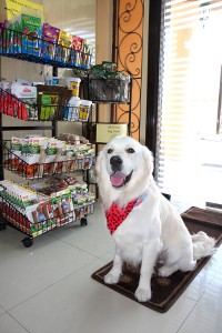 Brinkley & Dog Treats in the Pet Accessories Boutique